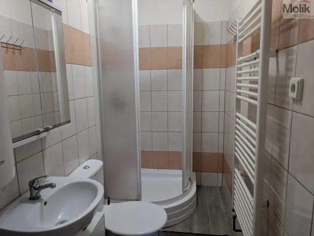 Pronájem bytu 1+1, Litvínov - Horní Litvínov, Mezibořská, 40 m2