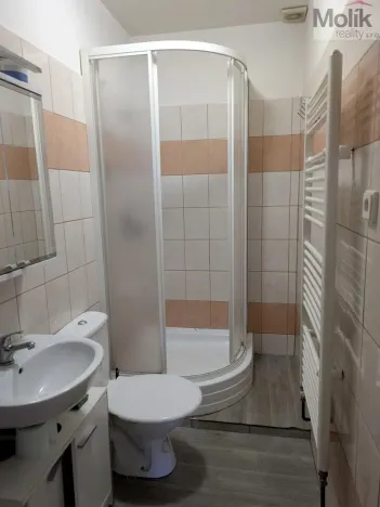 Pronájem bytu 1+1, Litvínov - Horní Litvínov, Mezibořská, 40 m2