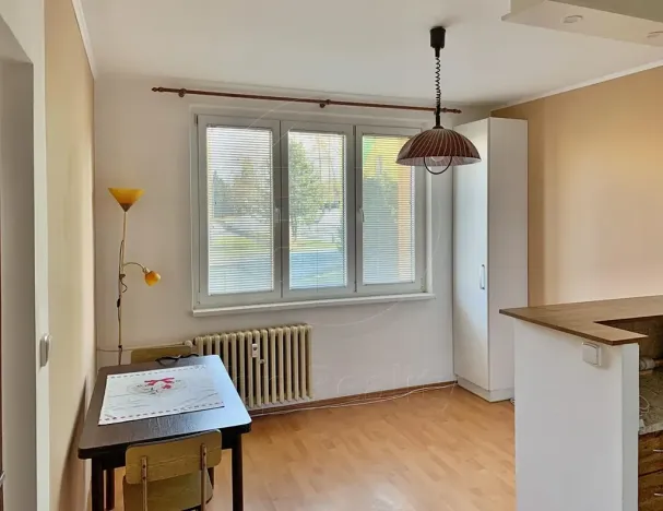 Pronájem bytu 1+1, Chodov, Čs. odbojářů, 36 m2