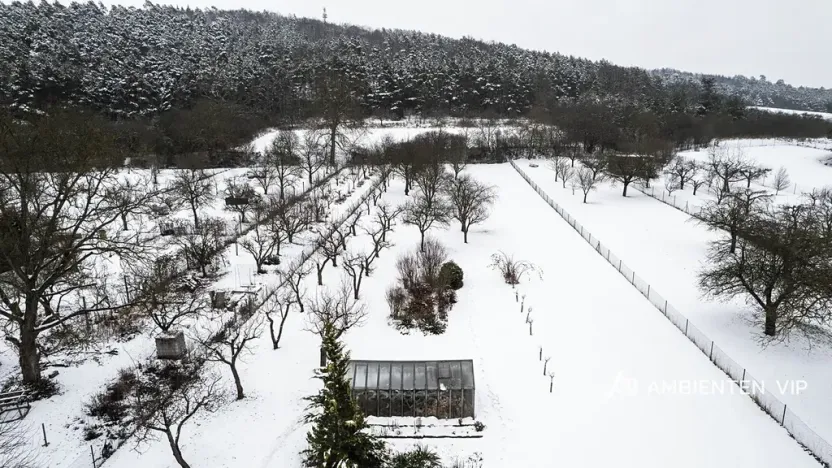 Prodej rodinného domu, Čebín, 160 m2