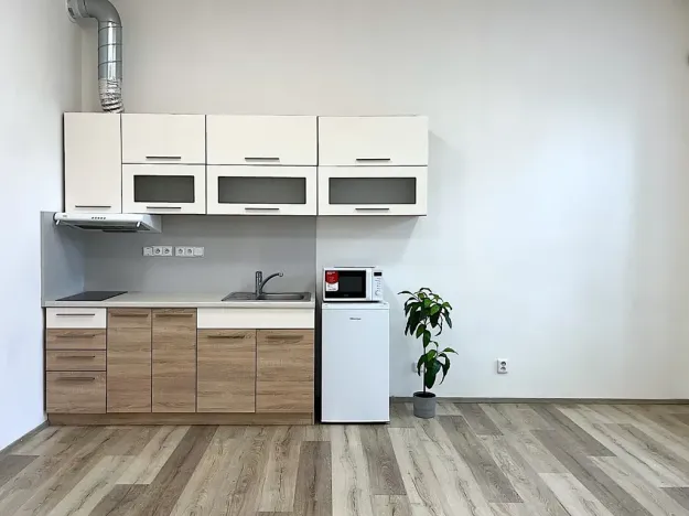Pronájem bytu 1+kk, Brno, Lidická, 36 m2