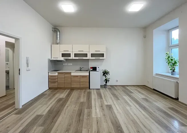 Pronájem bytu 1+kk, Brno, Lidická, 36 m2