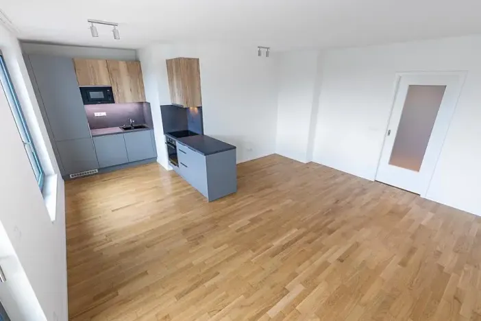 Prodej bytu 2+kk, Praha - Žižkov, U Viktorie, 63 m2