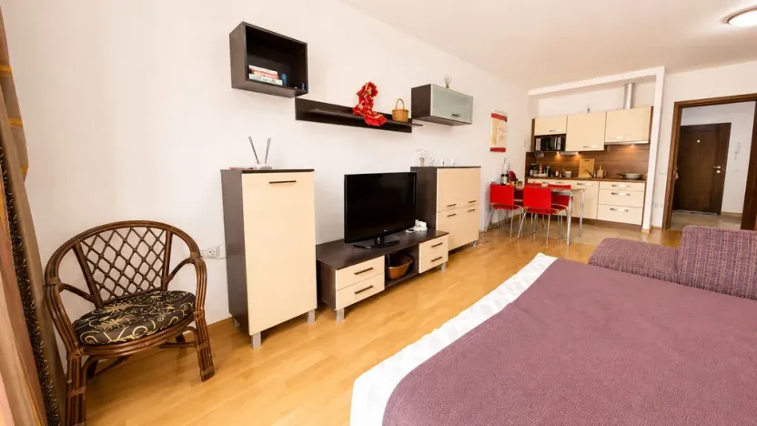 Prodej bytu 1+kk, Karlovy Vary, Jateční, 45 m2