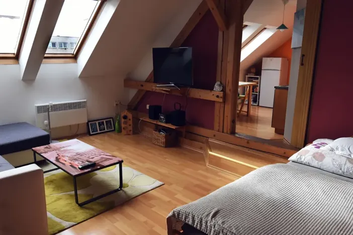 Pronájem bytu 1+1, Hradec Králové, Horova, 47 m2