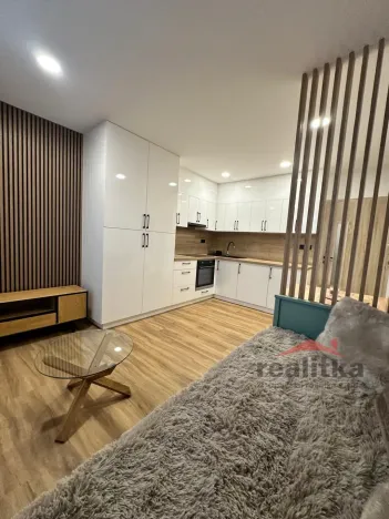 Pronájem bytu 1+kk, Opava - Kateřinky, Grudova, 21 m2