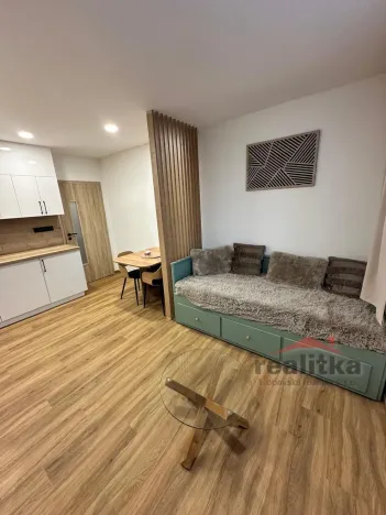Pronájem bytu 1+kk, Opava - Kateřinky, Grudova, 21 m2