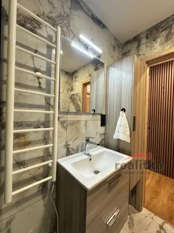 Pronájem bytu 1+kk, Opava - Kateřinky, Grudova, 21 m2