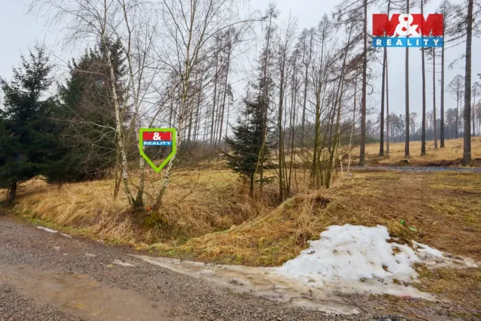 Prodej pozemku pro bydlení, Nová Ves u Chotěboře, 992 m2