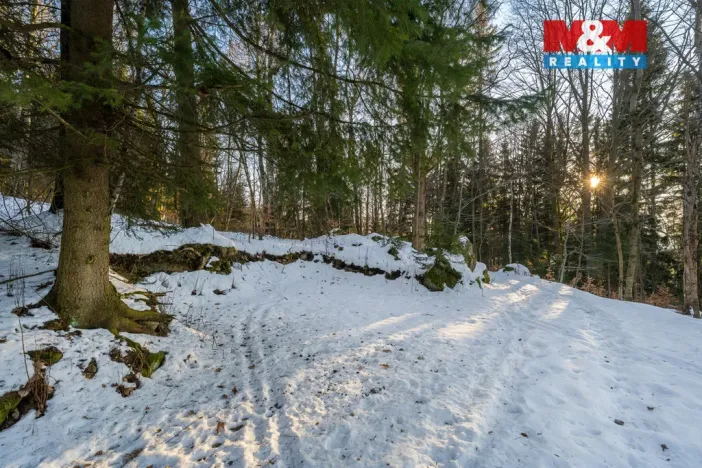 Prodej chalupy, Tanvald - Šumburk nad Desnou, 118 m2