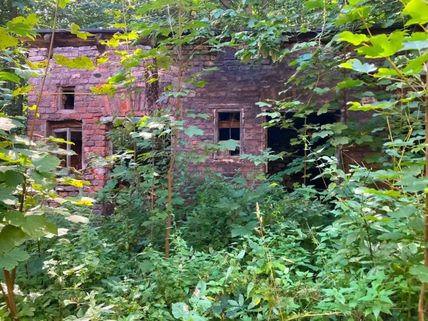 Prodej rodinného domu, Žacléř, Na Štole, 800 m2