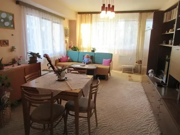 Prodej bytu 2+1, Písek, Dr. M. Horákové, 55 m2