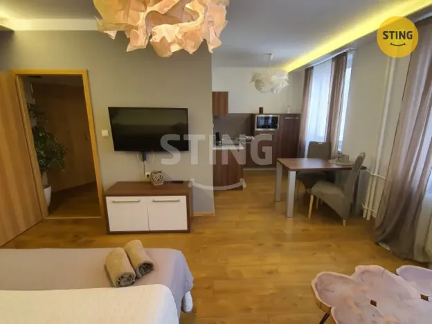 Pronájem bytu 1+kk, Třinec, Pod břehem, 34 m2