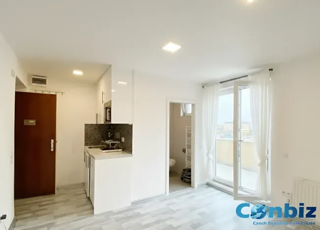 Pronájem bytu 1+kk, Praha - Nusle, Doudlebská, 30 m2