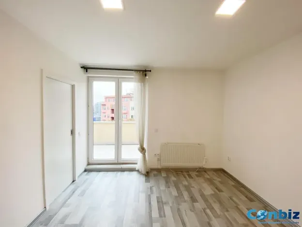 Pronájem bytu 1+kk, Praha - Nusle, Doudlebská, 30 m2