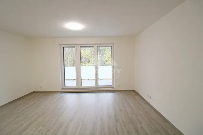 Pronájem bytu 1+kk, Plzeň, Heyrovského, 40 m2