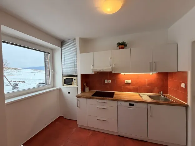 Prodej apartmánu, Staré Město - Stříbrnice, 56 m2