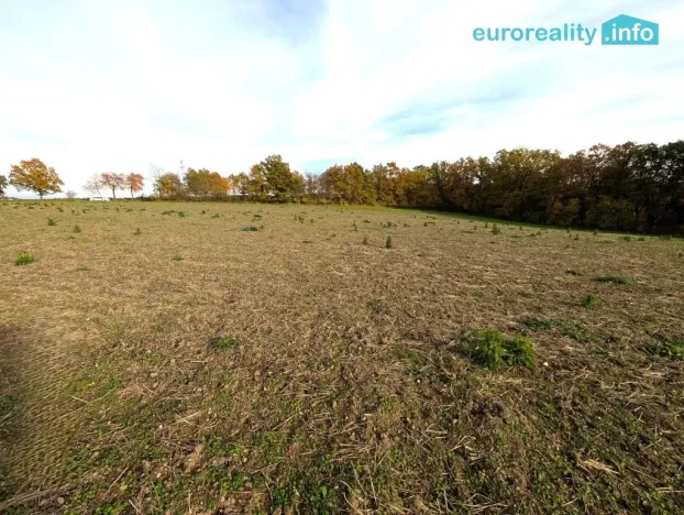 Prodej pozemku pro bydlení, Strakonice, 3986 m2