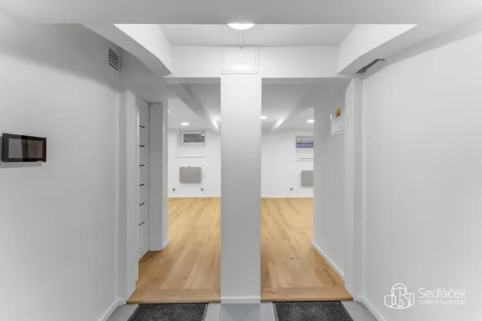 Prodej atypického bytu, Praha - Nusle, U Jezerky, 39 m2