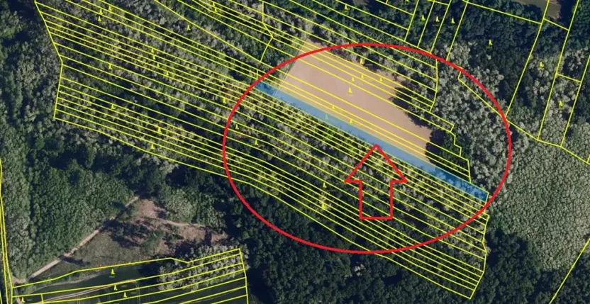 Prodej podílu lesa, Lesonice, 814 m2