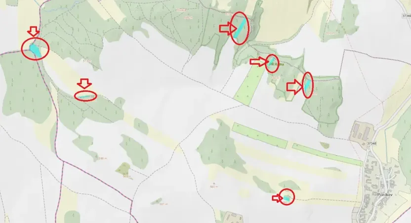 Prodej lesa, Ludmírov, 9585 m2