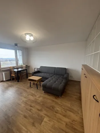 Pronájem bytu 1+kk, Hradec Králové, Jungmannova, 30 m2