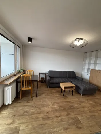 Pronájem bytu 1+kk, Hradec Králové, Jungmannova, 30 m2
