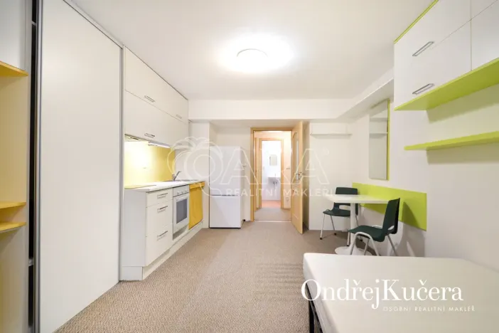 Pronájem bytu 1+kk, Praha - Nusle, K podjezdu, 29 m2