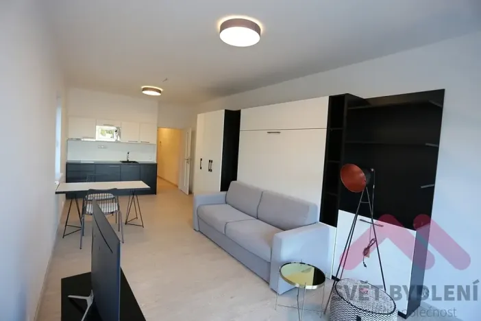 Pronájem bytu 1+kk, Praha - Karlín, U Mlýnského kanálu, 41 m2