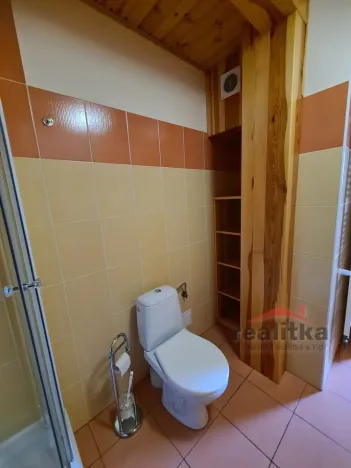 Pronájem bytu 2+kk, Opava - Předměstí, třída Spojenců, 75 m2