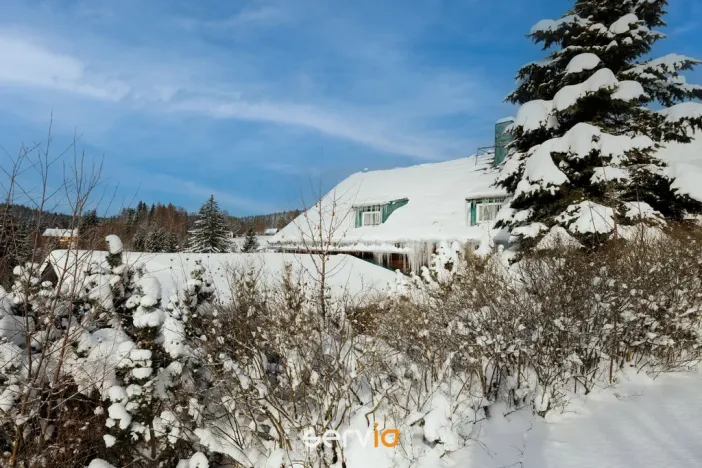 Prodej apartmánu, Říčky v Orlických horách, 500 m2