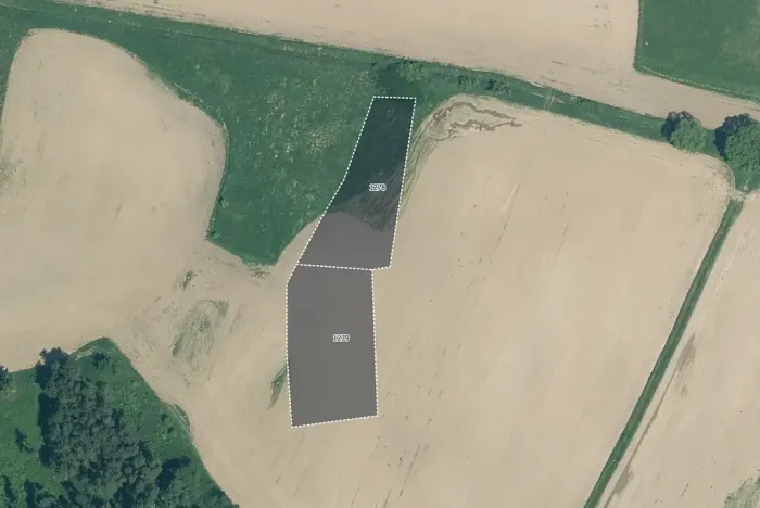 Prodej pole, Velký Bor, 11261 m2