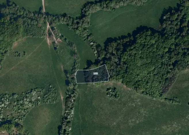 Prodej louky, Částkov, 21917 m2