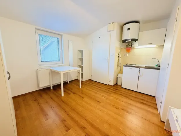 Pronájem bytu 1+kk, Praha - Suchdol, Nad dolíky, 16 m2