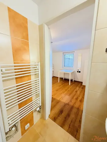 Pronájem bytu 1+kk, Praha - Suchdol, Nad dolíky, 16 m2