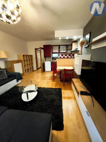 Pronájem bytu 1+kk, Plzeň, Květná, 32 m2