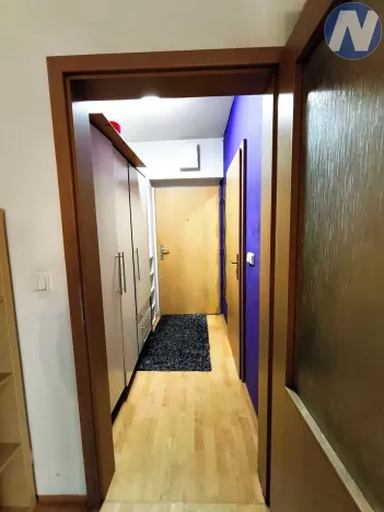 Pronájem bytu 1+kk, Plzeň, Květná, 32 m2