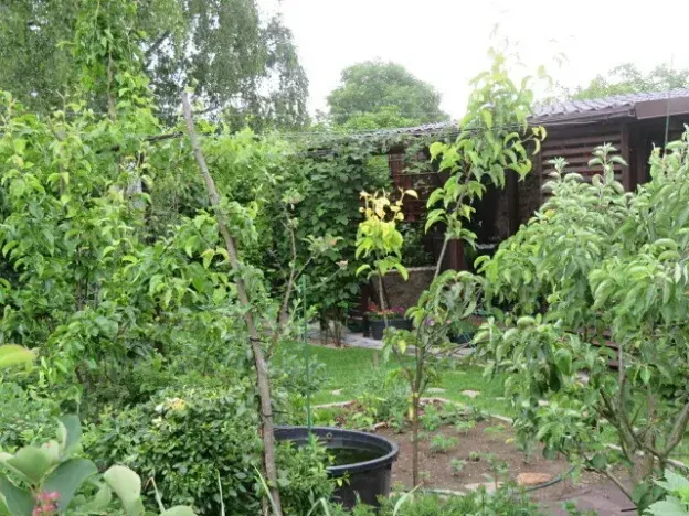 Dražba skladu, Jílové u Prahy, Pražská, 10 m2