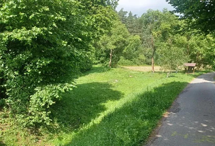 Dražba pozemku, Tuhaň, 972 m2