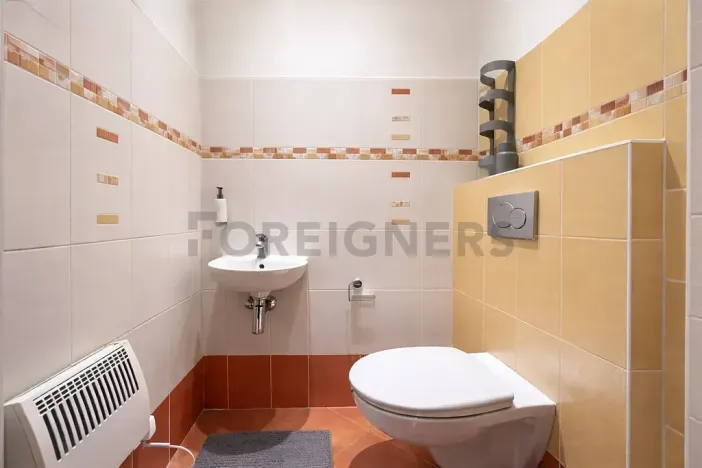 Pronájem bytu 2+1, Brno, Masná, 88 m2