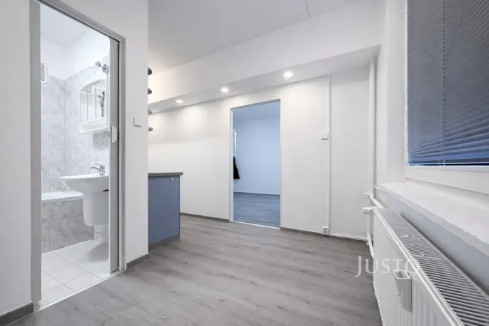 Pronájem bytu 1+1, Ústí nad Labem, Tolstého, 44 m2