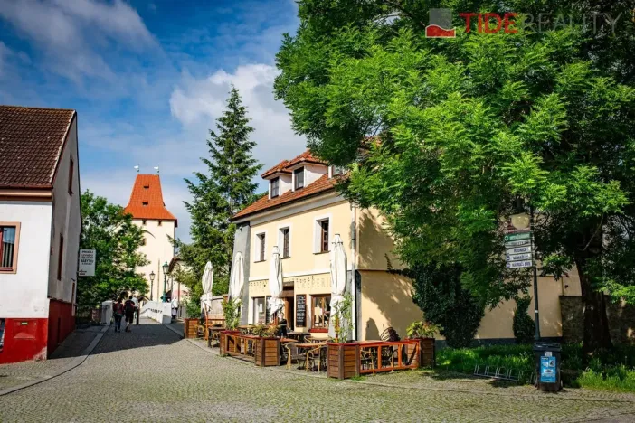 Prodej bytu 3+kk, Beroun, Na Máchovně, 195 m2