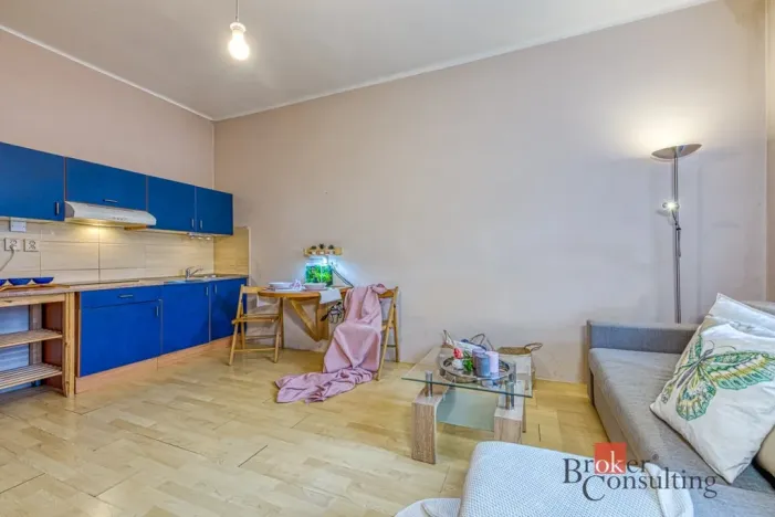 Pronájem bytu 1+kk, Praha - Vysočany, Novovysočanská, 31 m2