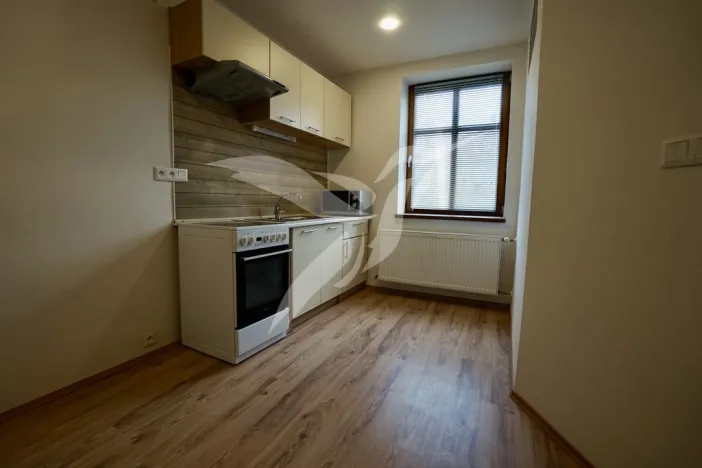 Pronájem bytu 1+1, Město Touškov, Čemínská, 38 m2