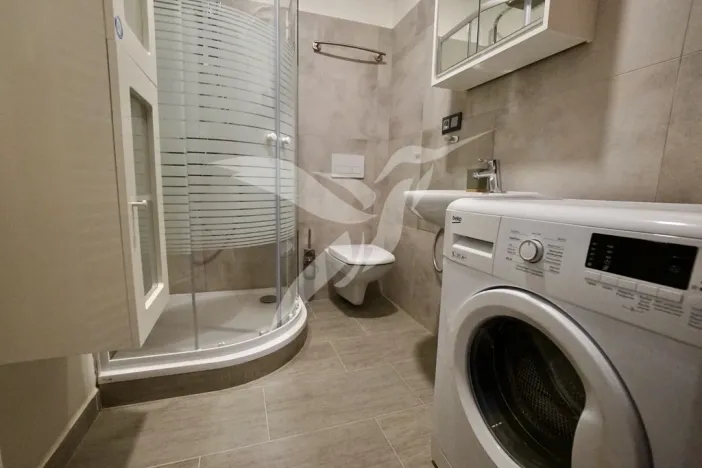 Pronájem bytu 1+1, Město Touškov, Čemínská, 38 m2