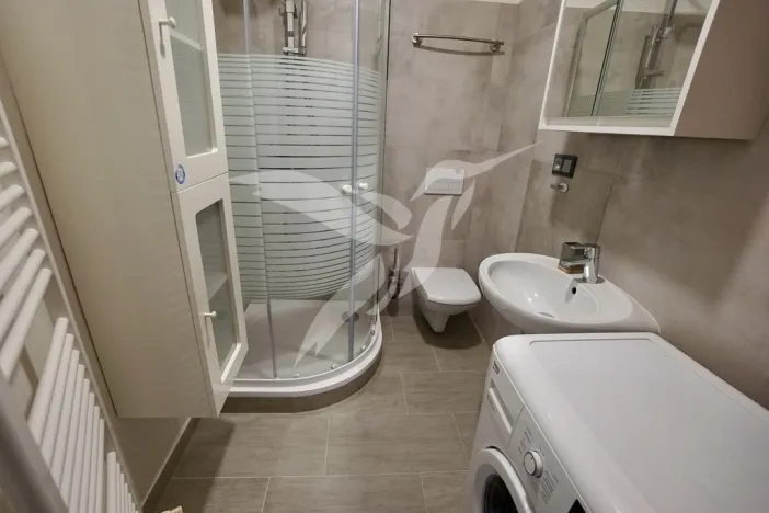 Pronájem bytu 1+1, Město Touškov, Čemínská, 38 m2