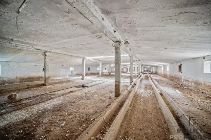 Prodej zemědělského objektu, Přelouč - Mělice, 7117 m2