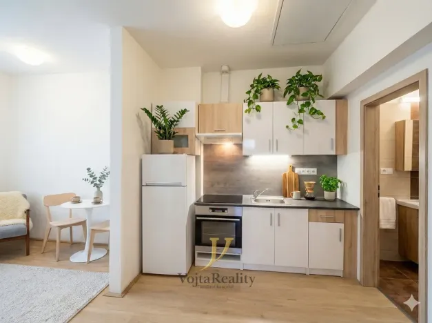 Pronájem bytu 1+kk, Olomouc, Vídeňská, 60 m2