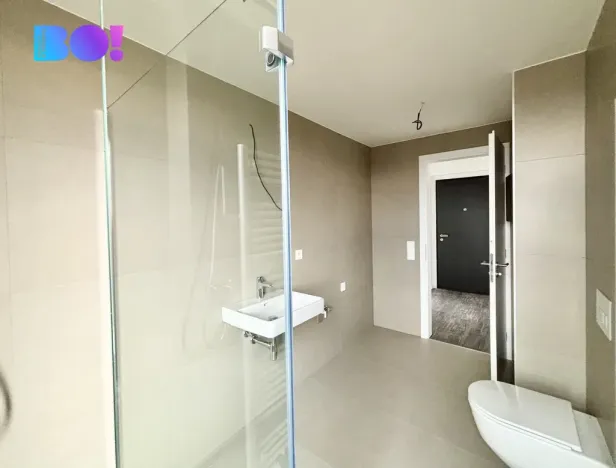 Pronájem bytu 2+kk, Ostrava, F. X. Riepla, 54 m2