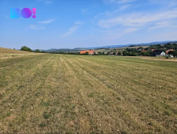 Prodej louky, Málkov, 20000 m2